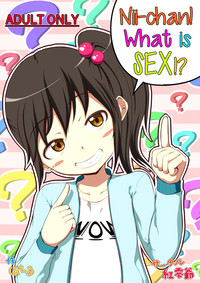 Niichan! What is SEX!? hentai