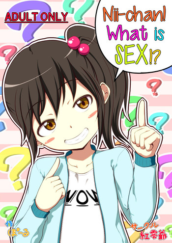 Niichan! What is SEX!? hentai