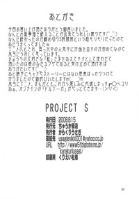 PROJECT S hentai