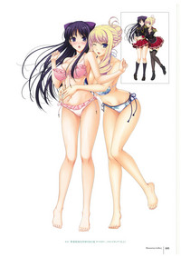 Walkure Romanze More & More Visual Fan Book hentai