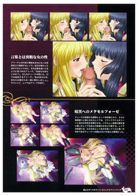 Ikusa Otome Valkyrie 2 Visual Fanbook hentai