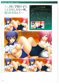 Seishojyo Visual Complete Book hentai