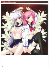 Seishojyo Visual Complete Book hentai