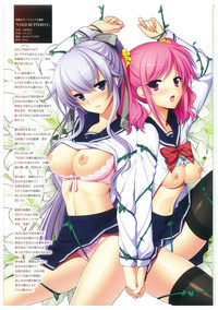 Seishojyo Visual Complete Book hentai