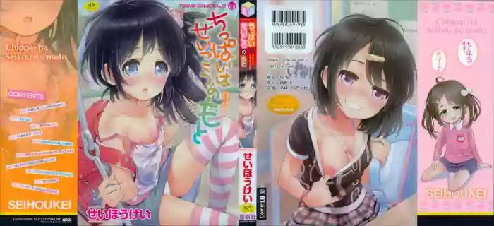 Chippai ha Seikou no moto│貧乳最珍貴 hentai