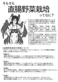 直腸野菜栽培解説本 hentai