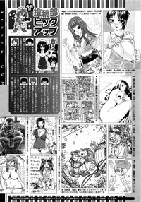 COMIC Megastore 2009-06 hentai