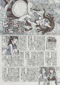 Monthly Vitaman 2009-03 hentai