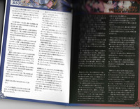 魔物娘図鑑ワールドガイド外伝2 サルバリシオン～レスカティエの魔界騎士たち～ hentai