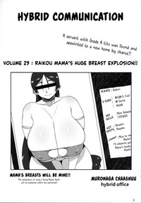 Hybrid Tsuushin vol. 29 hentai