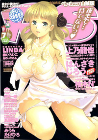 COMIC Penguin Club Sanzokuban 2007-07 hentai