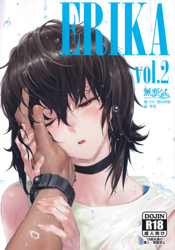 ERIKA Vol. 2 hentai