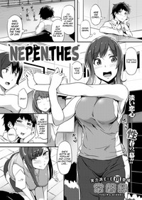 Nepenthes hentai