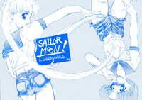 SAILOR MOON! in SANDWORKS hentai