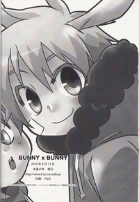 Bunny x Bunny hentai