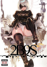 2B9S hentai