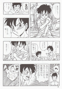 DRAGONBALL H Bessatsu Soushuuhen hentai