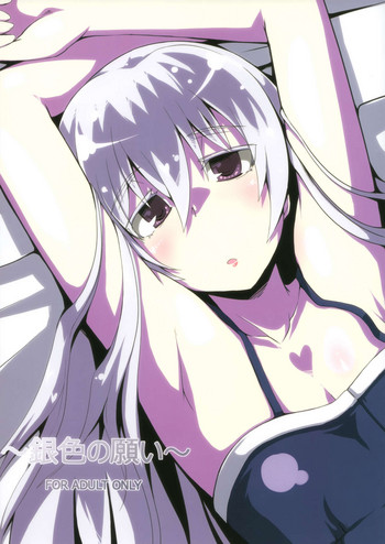 (COMIC1☆5) [Catcher's mitt of silver (Kaname Nagi)] ~Giniro no Negai~ (DARKER THAN BLACK) hentai