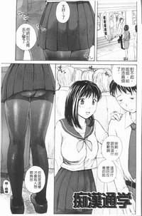 Houkago Ecchi - After school...H | 放課後的性愛 hentai