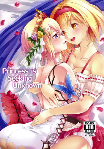 Princess is Seeking Unknown hentai