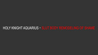 Seikishi Aquarius Chijoku no Nyotai Kaizou | Holy Knight Aquarius - Slut Body Remodeling of Shame hentai
