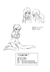 PreCure All Stars Ryona & Ryoujoku Rough Gashuu hentai