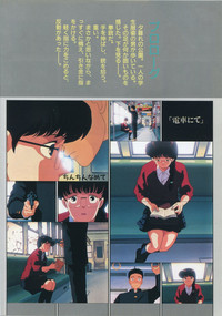 Bishoujo Anime Daizenshuu - Adult Animation Video Catalog 1991 hentai