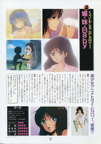 Bishoujo Anime Daizenshuu - Adult Animation Video Catalog 1991 hentai