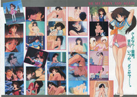 Bishoujo Anime Daizenshuu - Adult Animation Video Catalog 1991 hentai