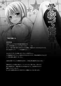 Gakkou de Seishun! Soushuuhen 3 hentai