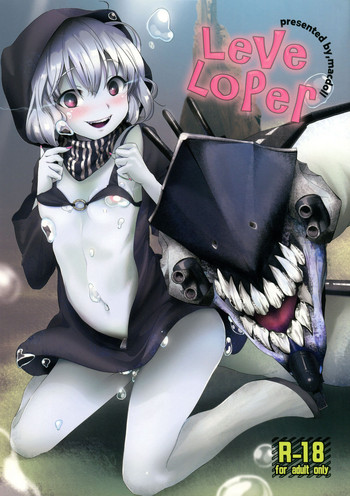 LeVeLoPer hentai