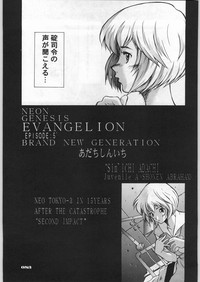 Shin Seiki Evangelibon hentai