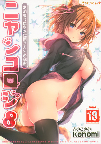 Nyancology 8san to no Himitsu- hentai