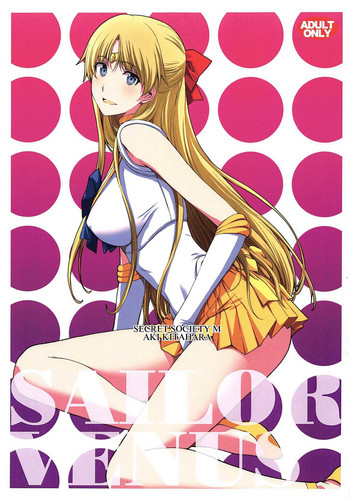 SAILOR VENUS hentai