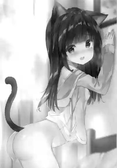 Oniichan, do you like cat ears? hentai