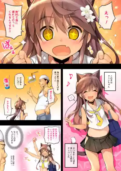 Neko Neko Note 6 Natsu no Umi de Tanetsuke Sex Suru Hon hentai