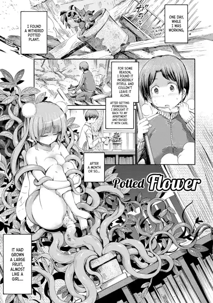 Hachi no Ue no Flower | Potted Flower hentai