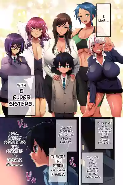 Ane Bitch Harem! hentai