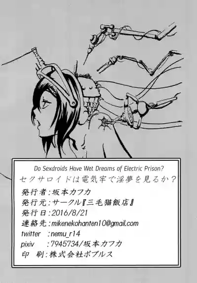 Sexaroid wa Denkirou de Inmu o Miru ka? | Do Sexdroids Have Wet Dreams of Electric Prison? hentai