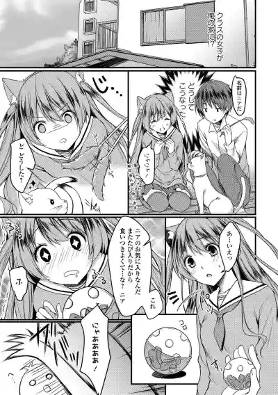 Seifuku x Seifuku Vol. 3 hentai