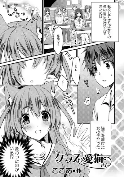 Seifuku x Seifuku Vol. 3 hentai