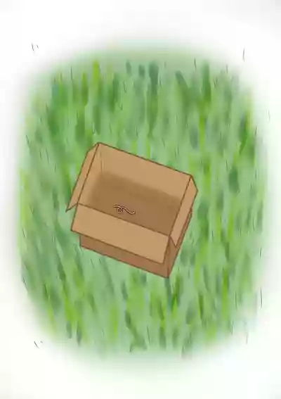 1000 Earthworms in the Box hentai