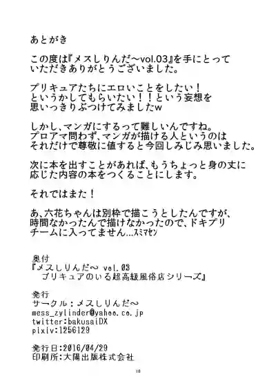 Mess Zylinder Vol. 03 PreCure no Iru Chou Koukyuu Fuuzokuten Series + Rakugaki Bon hentai