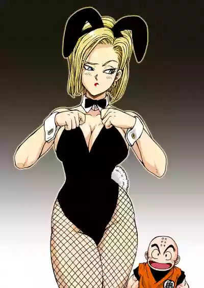 18 to Bulma no Bunnygirl ni Kanpai! hentai