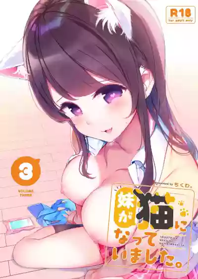 Imouto ga Neko ni Natteimashita. 3 hentai