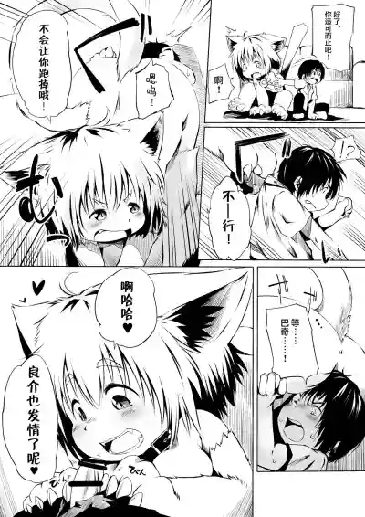 Neko to Shounen hentai