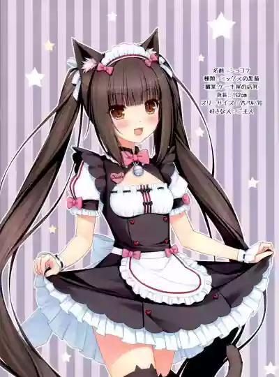 Nekopara 01 hentai