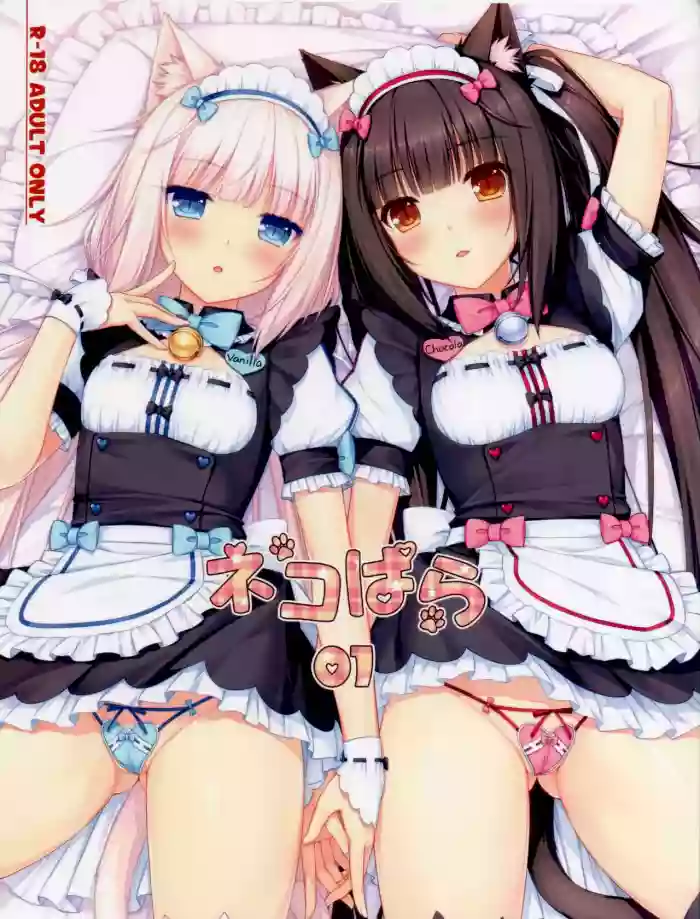 Nekopara 01 hentai