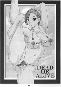 Dead or Alive | Girl Power Vol.17 hentai