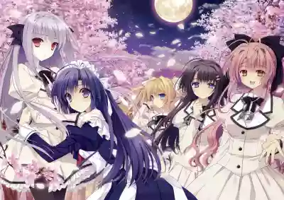 Tsuki ni Yorisou Otome no Sahou official visual fanbook hentai